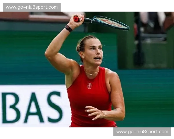 WTA破发数据：揭秘顶级女网选手的制胜法宝